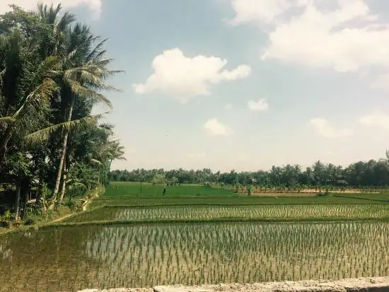 Gambar Makanan Lesehan Cahaya 11