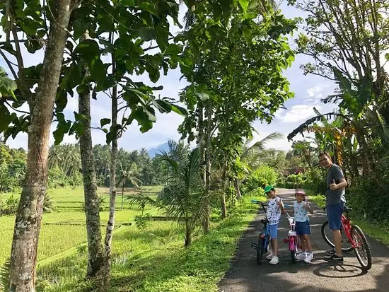 Gambar Makanan Cempaka Belimbing Villas 8