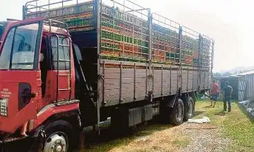 Ayam Kampung Paya Dalam Enterprise