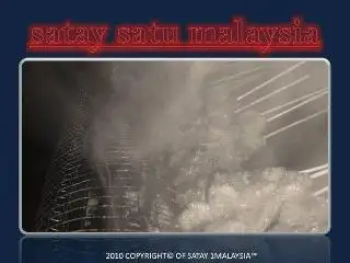 Satay 1Malaysia