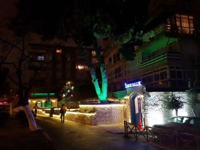 İzmir Balık & Et Restoran'nin yemek ve ambiyans fotoğrafları 55