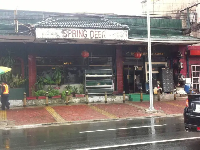 Hong Kong Spring Deer Food Photo 4