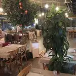 Mastika Restaurant'nin yemek ve ambiyans fotoğrafları 2