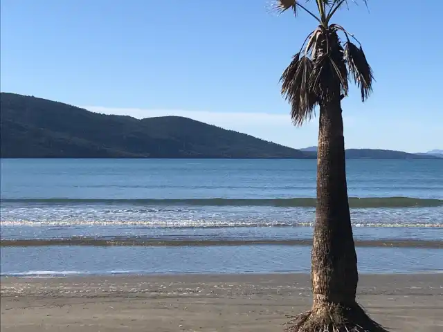 Ada Marina Cafe'nin yemek ve ambiyans fotoğrafları 2