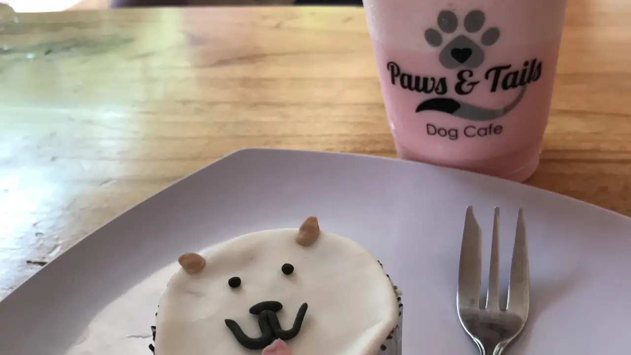 Paws & Tails Dog Cafe