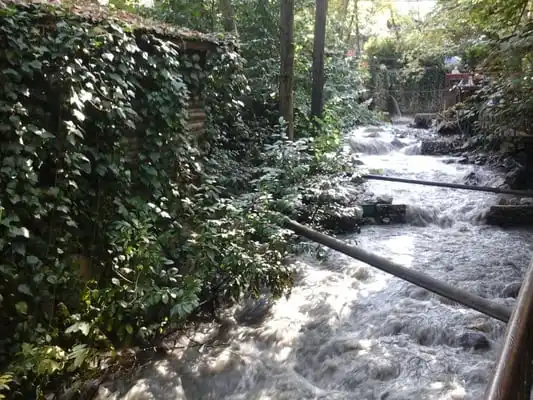 Yazıcılar Restaurant'nin yemek ve ambiyans fotoğrafları 3