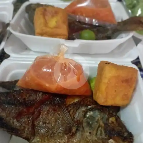 Gambar Makanan Pecel Lele Dan Ayam Kak Jojo 7