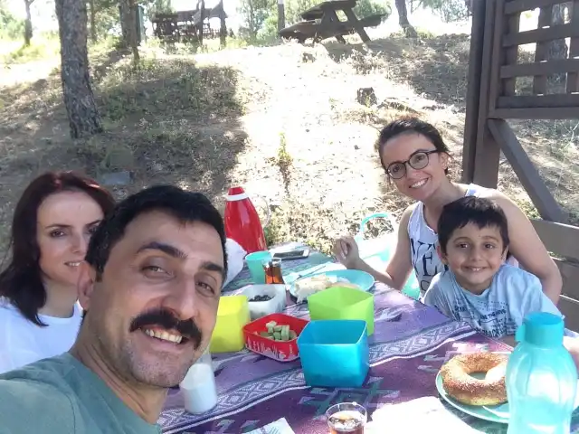 Beytaş Riva Mesire ve Piknik Alanı'nin yemek ve ambiyans fotoğrafları 6