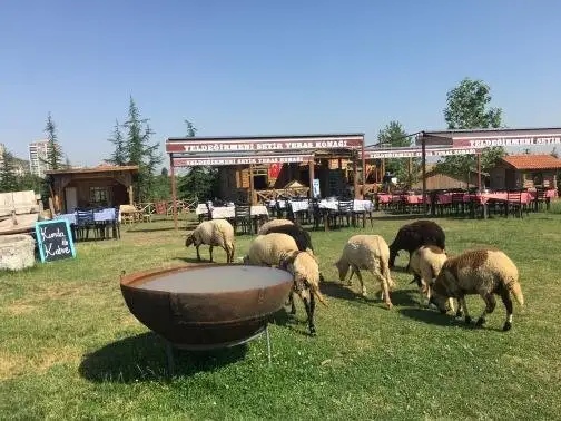 Altınköy Seyir Teras Konağı'nin yemek ve ambiyans fotoğrafları 2