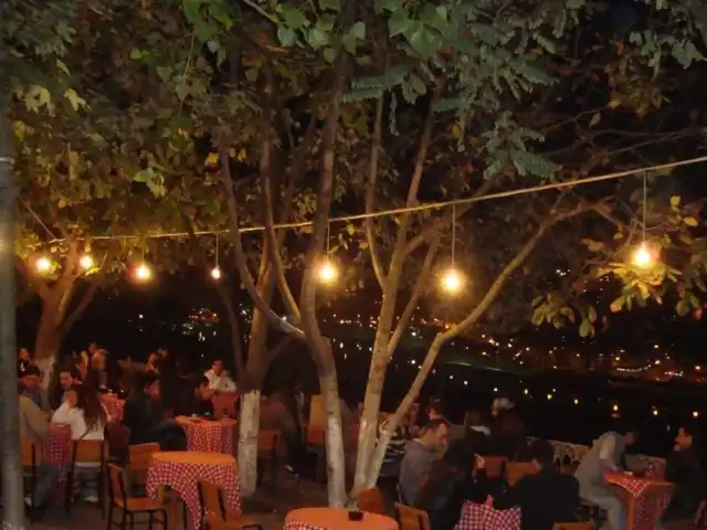 Teras Cafe'nin yemek ve ambiyans fotoğrafları 4