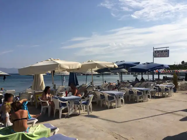 Moonlight Cafe Bar'nin yemek ve ambiyans fotoğrafları 2