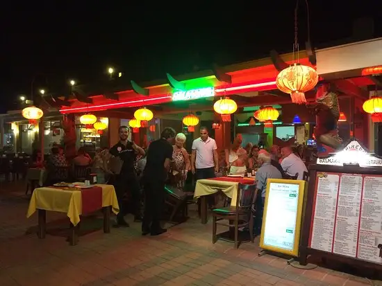 Salmakis Chinese Restaurant'nin yemek ve ambiyans fotoğrafları 2