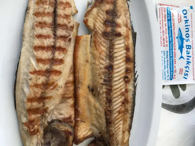 Orkinos Balık Lokantası'nin yemek ve ambiyans fotoğrafları 39