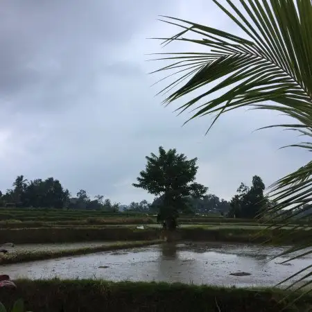 Gambar Makanan Dapoer Buleleng 7