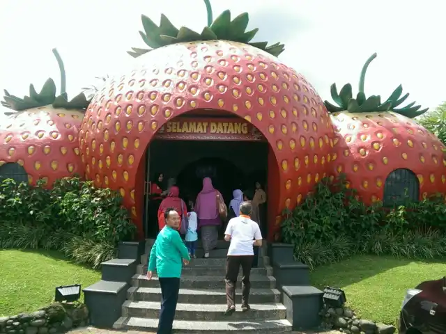 Gambar Makanan Liwet Pak Asep Stroberi 4