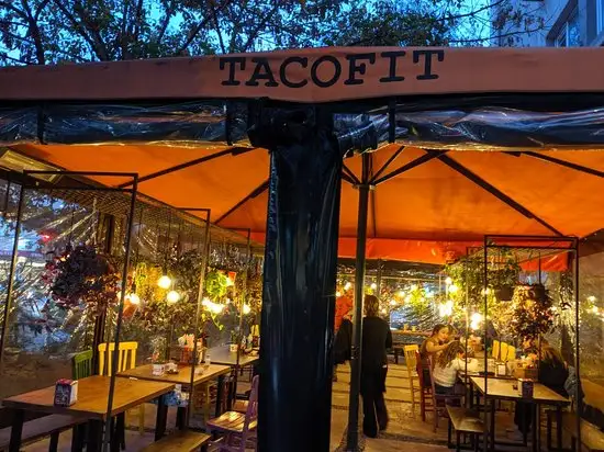 Taco Fit'nin yemek ve ambiyans fotoğrafları 1