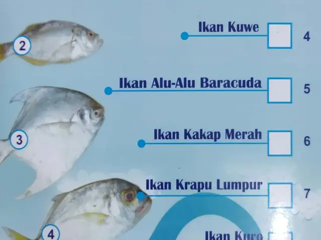 Gambar Makanan Bola Seafood Acui 4