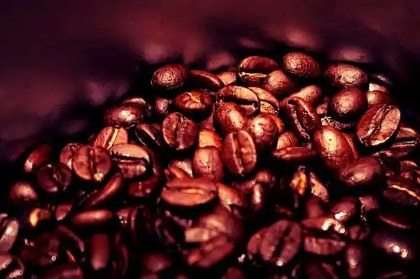 Kahve Dünyası - Viaport Avm