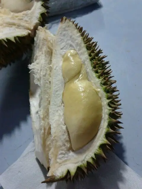 Durian Buffet Seksyen 7 Food Photo 9