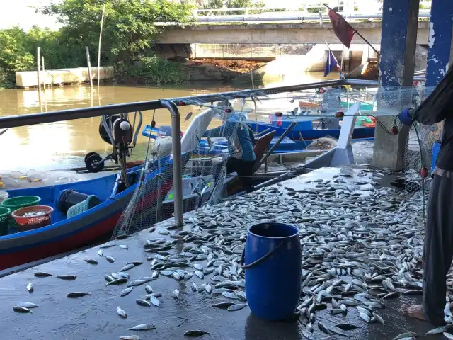 Kak Yang Gulai Panas Ikan Temenung Food Photo 7