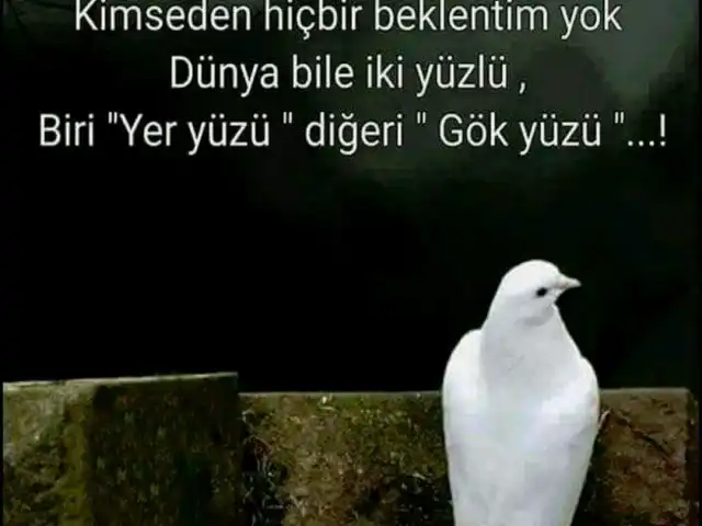 EVE DÖNÜŞŞ