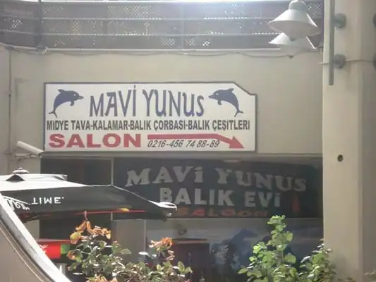 Mavi Yunus Balık Evi