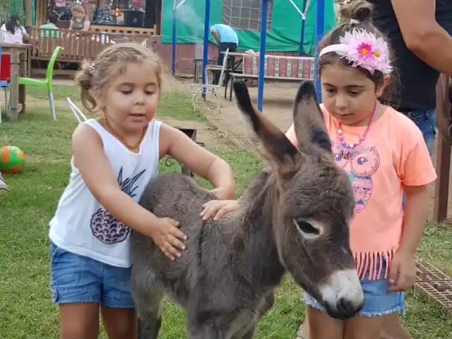 Gizli Bahçe Seyir Alanı'nin yemek ve ambiyans fotoğrafları 4