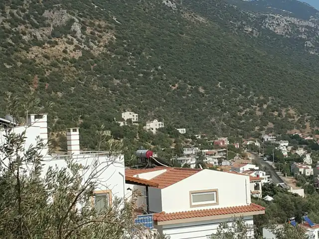 bodamya çınar restaurant'nin yemek ve ambiyans fotoğrafları 3