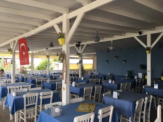 Thenes Restaurant'nin yemek ve ambiyans fotoğrafları 14