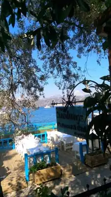 Sardunya Restoran'nin yemek ve ambiyans fotoğrafları 4