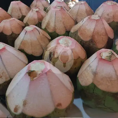 Gambar Makanan Kelapa Bang Pudin PIK 6