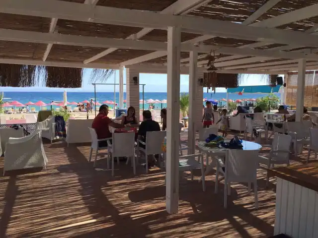 Zakkum Beach'nin yemek ve ambiyans fotoğrafları 4