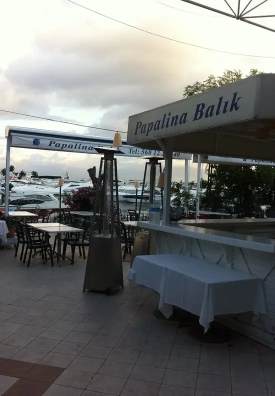 Papalina Balik Restaurant'nin yemek ve ambiyans fotoğrafları 34