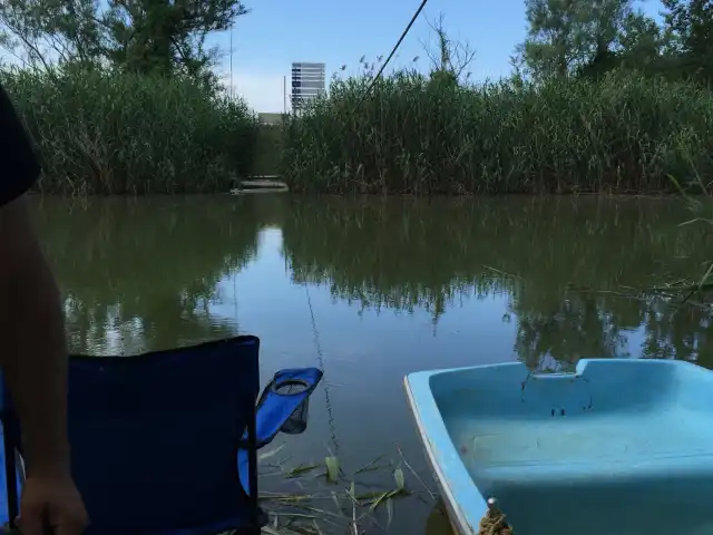 Sazlık'nin yemek ve ambiyans fotoğrafları 2