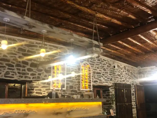 Paticha Cafe'nin yemek ve ambiyans fotoğrafları 3