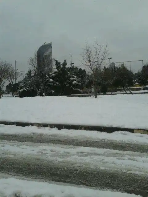 Şampiyon Park Cafe'nin yemek ve ambiyans fotoğrafları 4