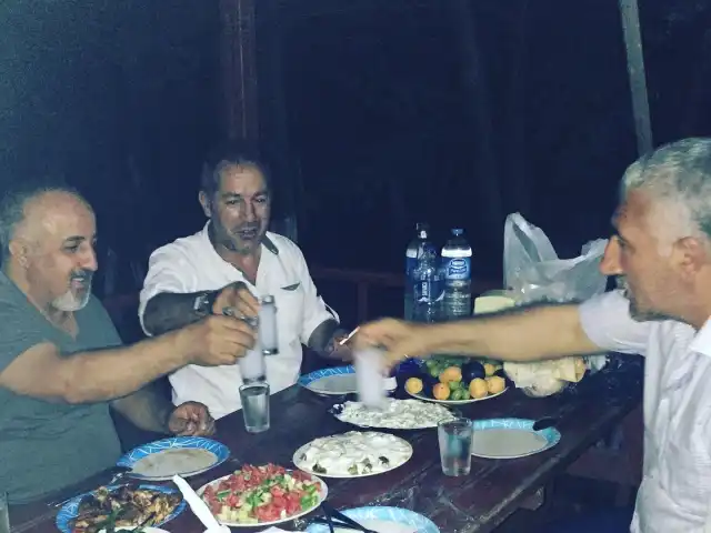 Yesil Vadi Mangal Tesisleri'nin yemek ve ambiyans fotoğrafları 13