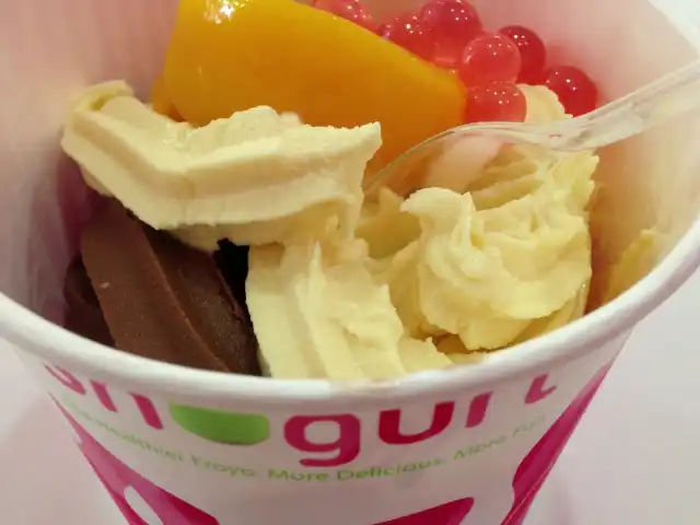 Snogurt Food Photo 7