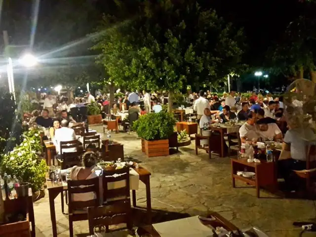 Antalya Balıkevi'nin yemek ve ambiyans fotoğrafları 41