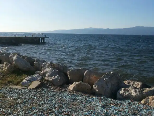 Sari kahve sahil Kursunlu'nin yemek ve ambiyans fotoğrafları 4