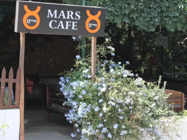 Mars Cafe'nin yemek ve ambiyans fotoğrafları 13