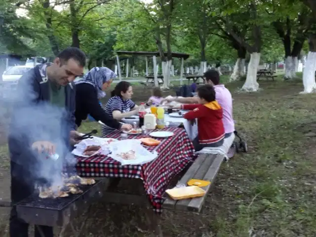 Akkaya Piknik Alani'nin yemek ve ambiyans fotoğrafları 12