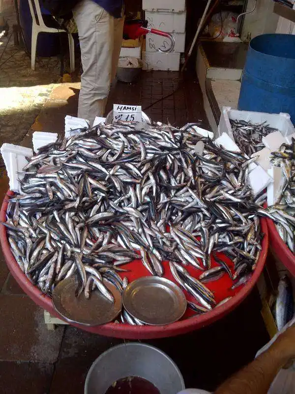 Derya Balık'nin yemek ve ambiyans fotoğrafları 18