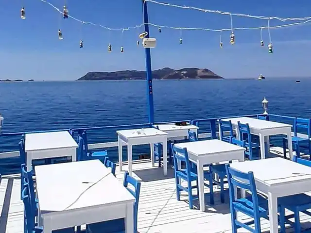 Sardelaki Greek Tavern'nin yemek ve ambiyans fotoğrafları 13