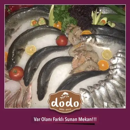 Dodo Meze Balık'nin yemek ve ambiyans fotoğrafları 70