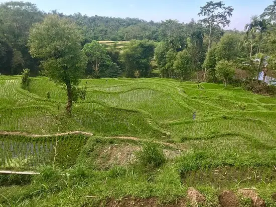 Gambar Makanan Oktavia Warung 9