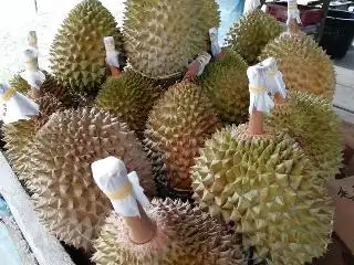Durian Stall