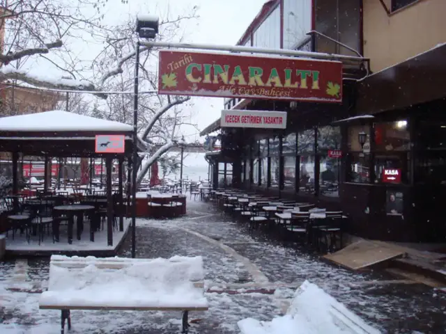 Tarihi Çınaraltı Aile Çay Bahçesi'nin yemek ve ambiyans fotoğrafları 12