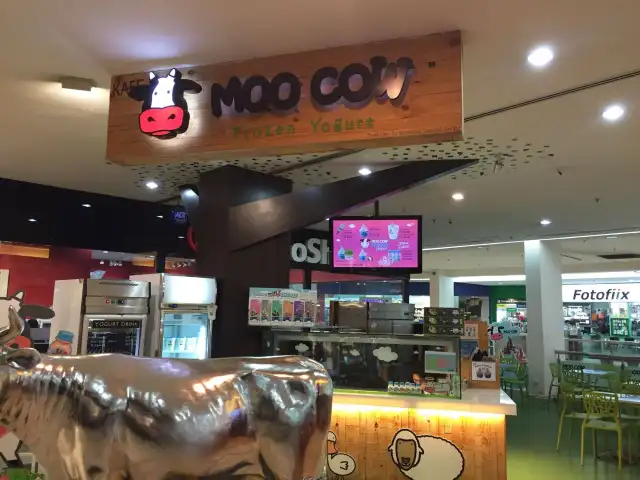 Moo Cow Food Photo 4