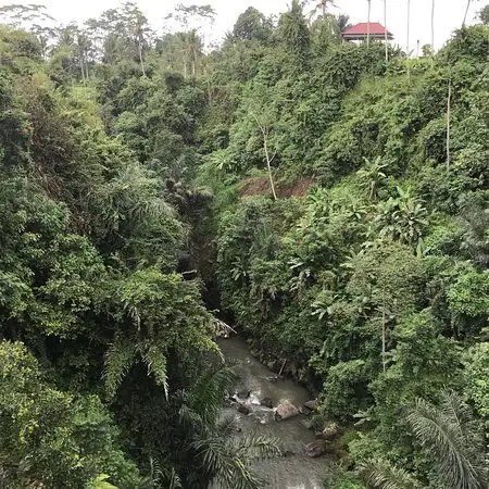 Gambar Makanan Petanu River Restaurant 17